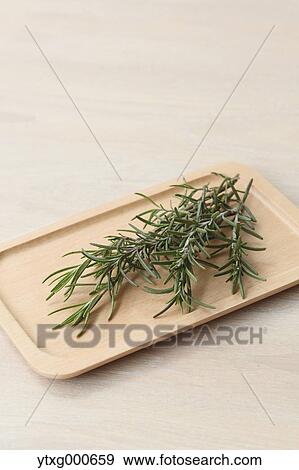 Rosemary View Large Photo Image Stock Photo - Rosemary. Fotosearch