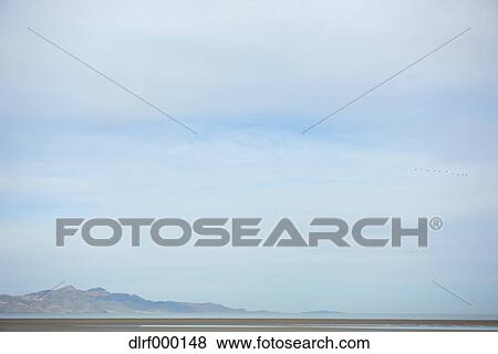 Salt Like City, USA View Large Photo Image Stock Photo - Salt Like City, USA. Fotosearch