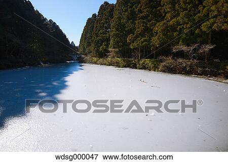 Snow at Onshihakone Park on a Winter morning, Hakone, Japan View Large Photo Image Stock Photo - Snow at Onshihakone Park on a Winter morning, Hakone, Japan. Fotosearch