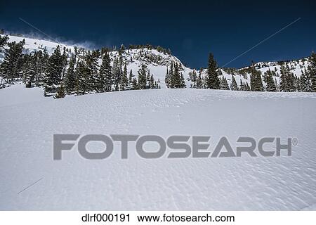 Snow field View Large Photo Image Stock Image - Snow field. Fotosearch