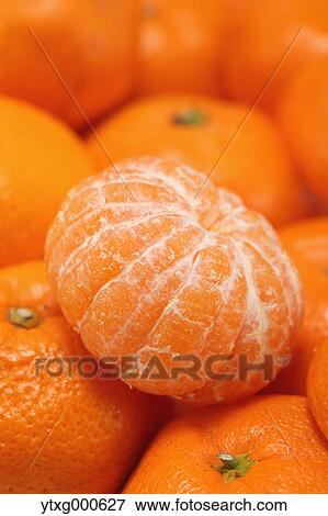 Tangerines View Large Photo Image Stock Photo - Tangerines. Fotosearch