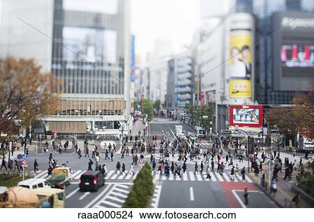 Tilt-shift bird's eye view of Shibuya, Tokyo, Japan View Large Photo Image Picture - Tilt-shift bird's eye view of Shibuya, Tokyo, Japan. Fotosearch
