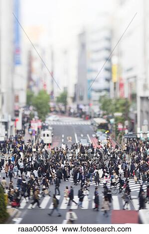 Tilt-shift bird's eye view of Shibuya, Tokyo, Japan View Large Photo Image Picture - Tilt-shift bird's eye view of Shibuya, Tokyo, Japan. Fotosearch