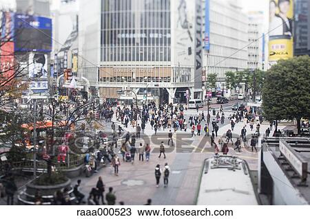 Tilt-shift bird's eye view of Shibuya, Tokyo, Japan View Large Photo Image Stock Image - Tilt-shift bird's eye view of Shibuya, Tokyo, Japan. Fotosearch