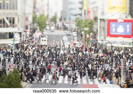 Tilt-shift bird's eye view of Shibuya, Tokyo, Japan View Large Photo Image Stock Photography - Tilt-shift bird's eye view of Shibuya, Tokyo, Japan. Fotosearch