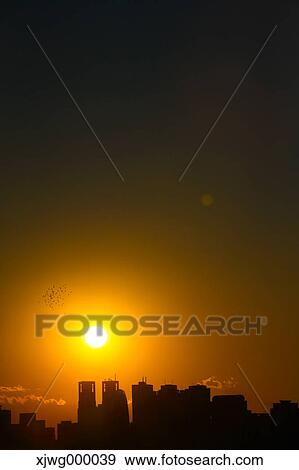 Tokyo cityscape at sunset, Tokyo, Japan View Large Photo Image Stock Photo - Tokyo cityscape at sunset, Tokyo, Japan. Fotosearch