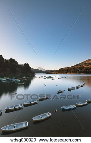 View of Mount Fuji from Lake Ashi in the morning, Hakone, Japan View Large Photo Image Stock Photo - View of Mount Fuji from Lake Ashi in the morning, Hakone, Japan. Fotosearch