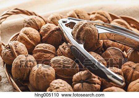 Walnuts View Large Photo Image Stock Image - Walnuts. Fotosearch