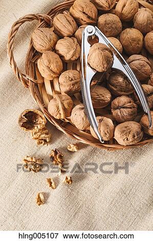 Walnuts View Large Photo Image Stock Photo - Walnuts. Fotosearch