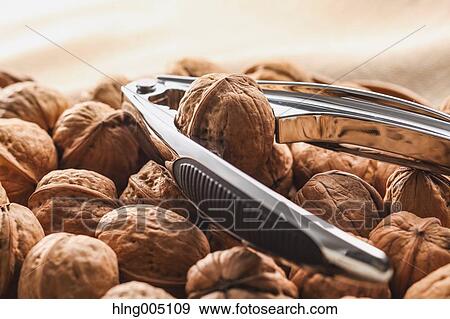 Walnuts View Large Photo Image Stock Photo - Walnuts. Fotosearch