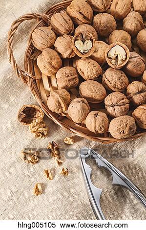 Walnuts View Large Photo Image Stock Photography - Walnuts. Fotosearch