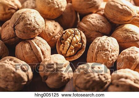 Walnuts View Large Photo Image Stock Photography - Walnuts. Fotosearch