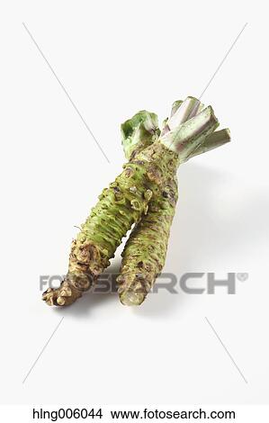 Wasabi View Large Photo Image Picture - Wasabi. Fotosearch