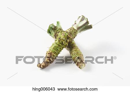Wasabi View Large Photo Image Stock Image - Wasabi. Fotosearch