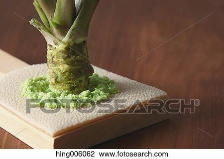 Wasabi View Large Photo Image Stock Image - Wasabi. Fotosearch