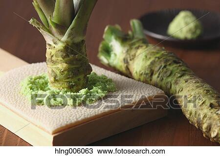 Wasabi View Large Photo Image Stock Image - Wasabi. Fotosearch