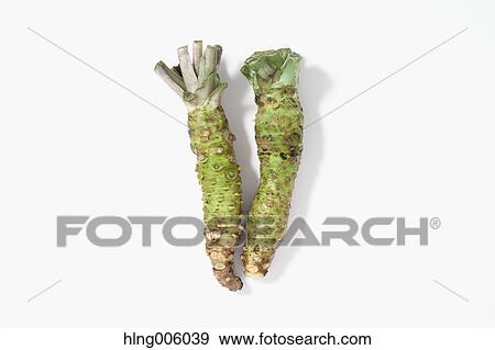 Wasabi View Large Photo Image Stock Photo - Wasabi. Fotosearch