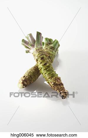 Wasabi View Large Photo Image Stock Photography - Wasabi. Fotosearch