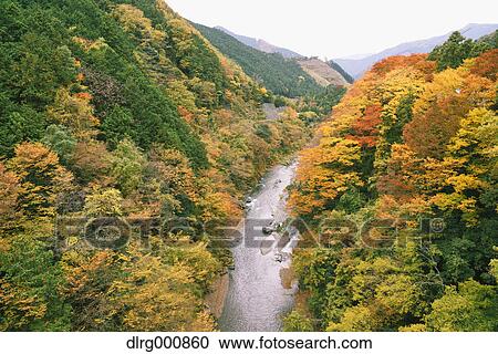 Water stream and Autumn leaves in Okutama, Tokyo, Japan View Large Photo Image Stock Image - Water stream and Autumn leaves in Okutama, Tokyo, Japan. Fotosearch
