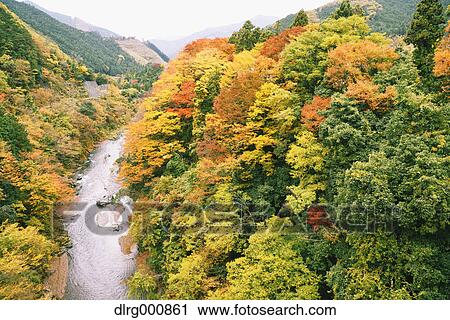 Water stream and Autumn leaves in Okutama, Tokyo, Japan View Large Photo Image Stock Image - Water stream and Autumn leaves in Okutama, Tokyo, Japan. Fotosearch