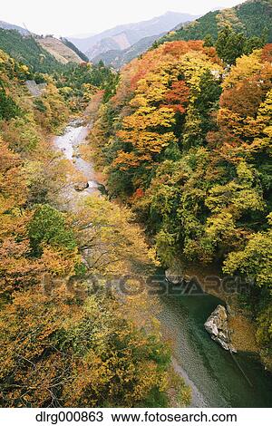 Water stream and Autumn leaves in Okutama, Tokyo, Japan View Large Photo Image Stock Image - Water stream and Autumn leaves in Okutama, Tokyo, Japan. Fotosearch