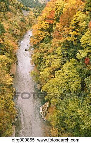 Water stream and Autumn leaves in Okutama, Tokyo, Japan View Large Photo Image Stock Photography - Water stream and Autumn leaves in Okutama, Tokyo, Japan. Fotosearch