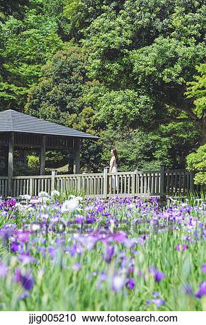Stock Image - Young Japanese woman on wooden deck in a city park. Fotosearch