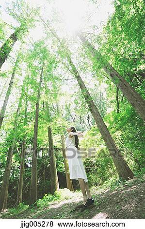 Young Japanese woman surrounded by green in a city park View Large Photo Image Stock Photo - Young Japanese woman surrounded by green in a city park. Fotosearch