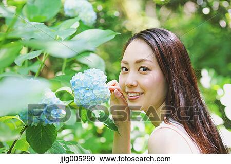Young Japanese woman with Hydrangea flowers in a city park View Large Photo Image Stock Image - Young Japanese woman with Hydrangea flowers in a city park. Fotosearch