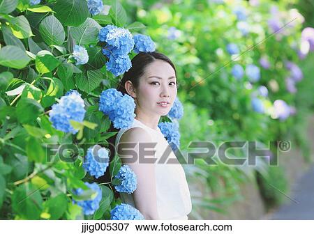 Young Japanese woman with Hydrangea flowers in a city park View Large Photo Image Stock Photo - Young Japanese woman with Hydrangea flowers in a city park. Fotosearch