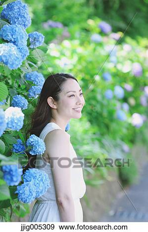 Young Japanese woman with Hydrangea flowers in a city park View Large Photo Image Stock Photo - Young Japanese woman with Hydrangea flowers in a city park. Fotosearch