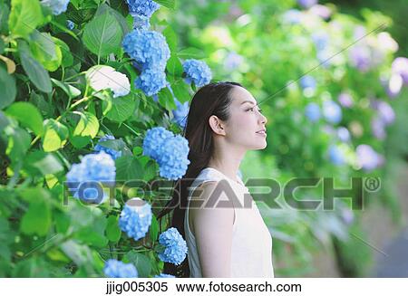 Young Japanese woman with Hydrangea flowers in a city park View Large Photo Image Stock Photography - Young Japanese woman with Hydrangea flowers in a city park. Fotosearch