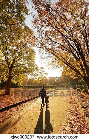 Autumn foliage View Large Photo Image Stock Photo - Autumn foliage. Fotosearch