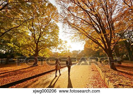 Autumn foliage View Large Photo Image Stock Photograph - Autumn foliage. Fotosearch
