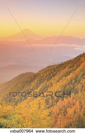 Beautiful view of Mount Fuji and autumn leaves, Yamanashi Prefecture, Japan View Large Photo Image Picture - Beautiful view of Mount Fuji and autumn leaves, Yamanashi Prefecture, Japan. Fotosearch