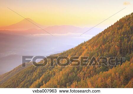 Beautiful view of Mount Fuji and autumn leaves, Yamanashi Prefecture, Japan View Large Photo Image Stock Image - Beautiful view of Mount Fuji and autumn leaves, Yamanashi Prefecture, Japan. Fotosearch