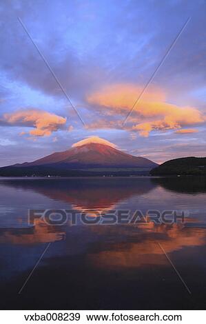 Beautiful view of Mount Fuji, Yamanashi Prefecture, Japan View Large Photo Image Stock Photo - Beautiful view of Mount Fuji, Yamanashi Prefecture, Japan. Fotosearch