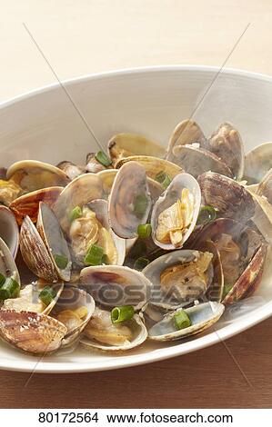 Boiled clams View Large Photo Image Picture - Boiled clams. Fotosearch