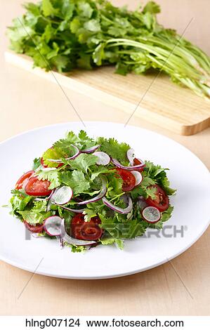 Picture - Coriander Salad. Fotosearch