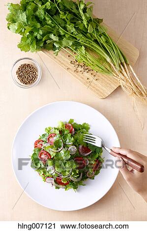 Coriander Salad View Large Photo Image Stock Image - Coriander Salad. Fotosearch