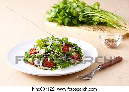 Coriander Salad View Large Photo Image Stock Image - Coriander Salad. Fotosearch