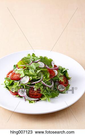 Coriander Salad View Large Photo Image Stock Image - Coriander Salad. Fotosearch