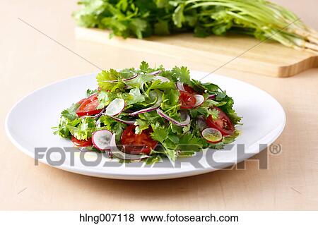 Coriander Salad View Large Photo Image Stock Photo - Coriander Salad. Fotosearch