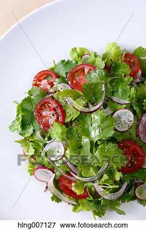 Coriander Salad View Large Photo Image Stock Photo - Coriander Salad. Fotosearch