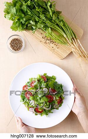Coriander Salad View Large Photo Image Stock Photo - Coriander Salad. Fotosearch