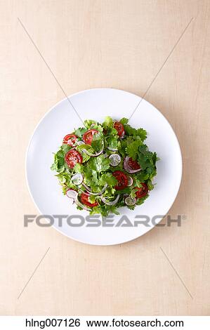 Coriander Salad View Large Photo Image Stock Photograph - Coriander Salad. Fotosearch