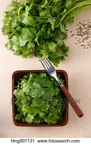 Coriander View Large Photo Image Stock Image - Coriander. Fotosearch