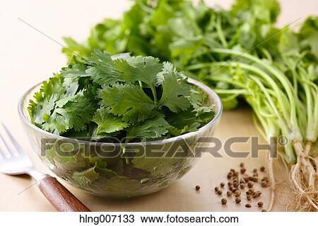 Coriander View Large Photo Image Stock Image - Coriander. Fotosearch