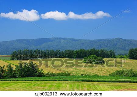 Stock Image - Country field, Hokkaido, Japan. Fotosearch
