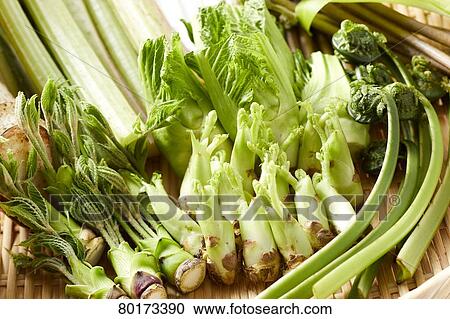 Edible wild plants View Large Photo Image Stock Image - Edible wild plants. Fotosearch